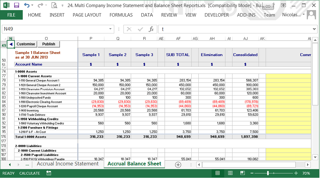 Consolidated Profit & Loss, Balance Sheet and Cash Flow 